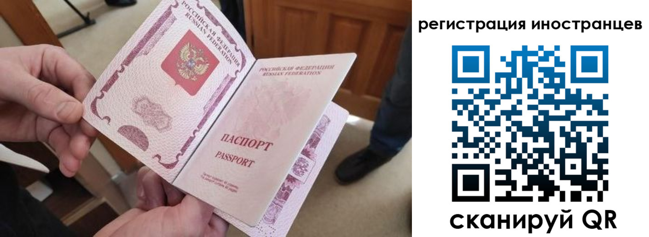 прописка ребенка в Ермолино